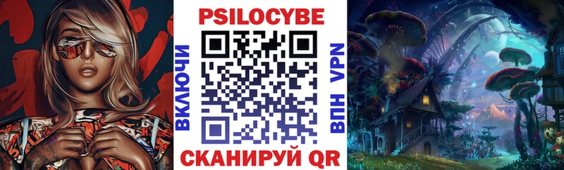 Купить закладки  Ленинск-Кузнецкий  Галлюциногенные грибы Magic Shrooms 